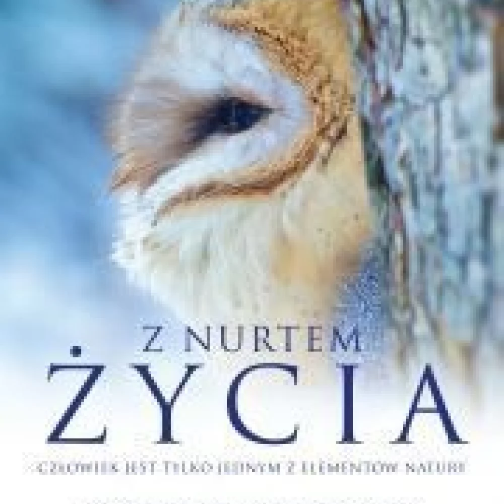 Kino Konesera. Z nurtem życia