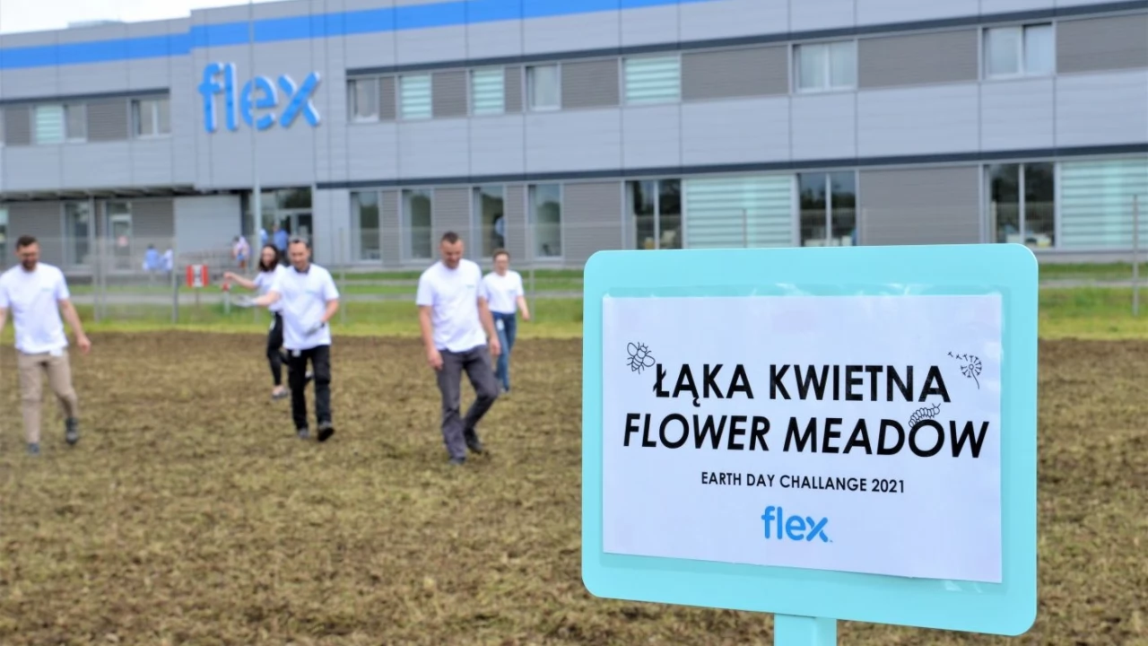 Kolejna łąka zakwitnie w Tczewie