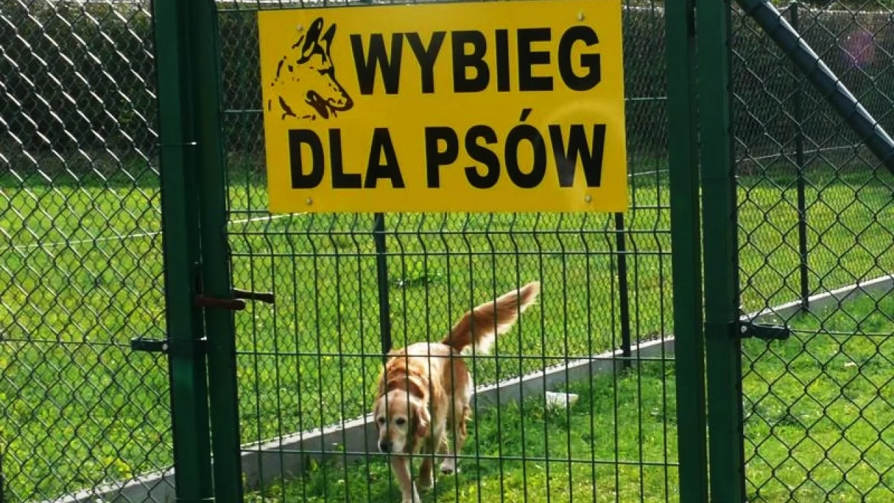 Kolejny wybieg dla psów