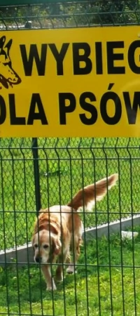 Jeden z wybiegów funkcjonuje na os. Bajkowym