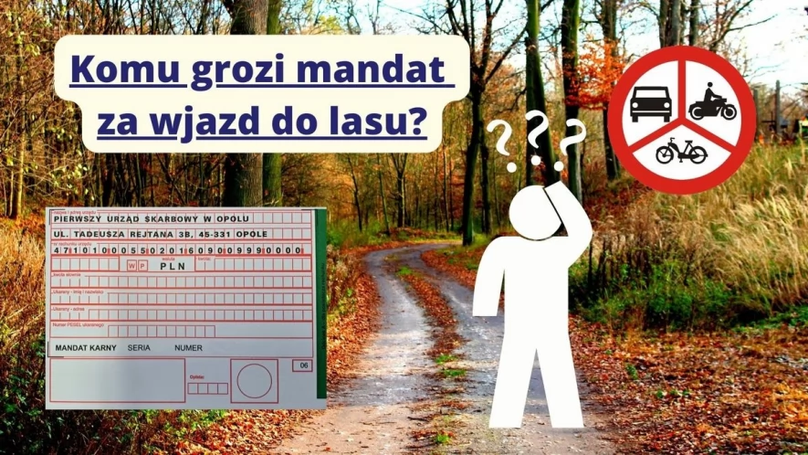 Komu grozi mandat za wjazd do lasu?