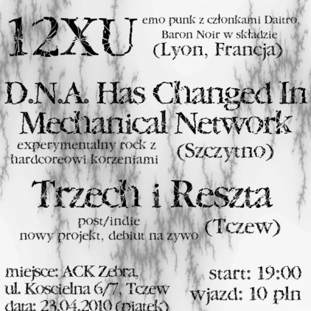 Koncertowo w "Zebrze"