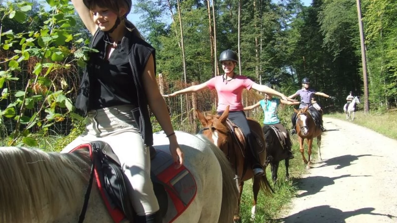 Konie - życiowa pasja mieszkanki Opalenia