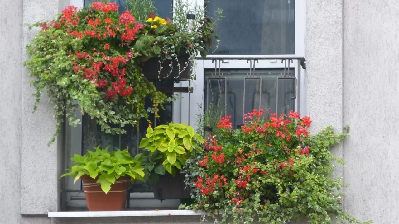 Konkurs na najpiękniejszy balkon i otoczenie. Ostatnie chwile na zgłoszenia