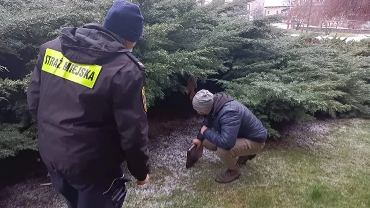 Kontrole miejsc przebywania bezdomnych. Pod wiaduktem znaleziono ciało mężczyzny