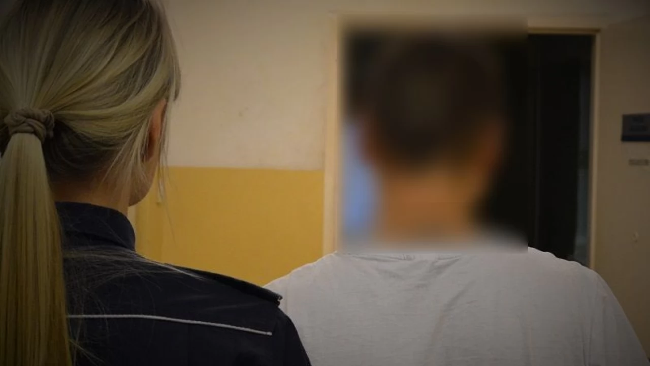 Kradzież whisky, kapsułek do prania i... wózka sklepowego