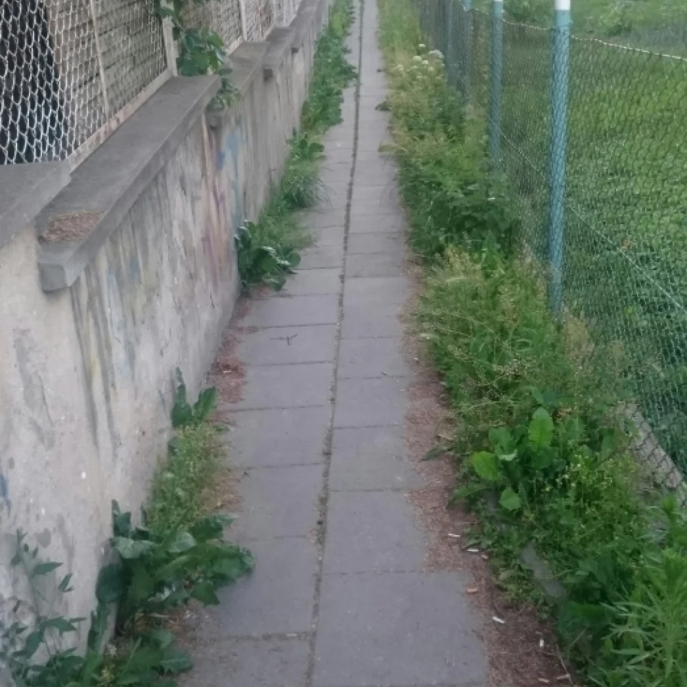 Kto powinien sprzątać?