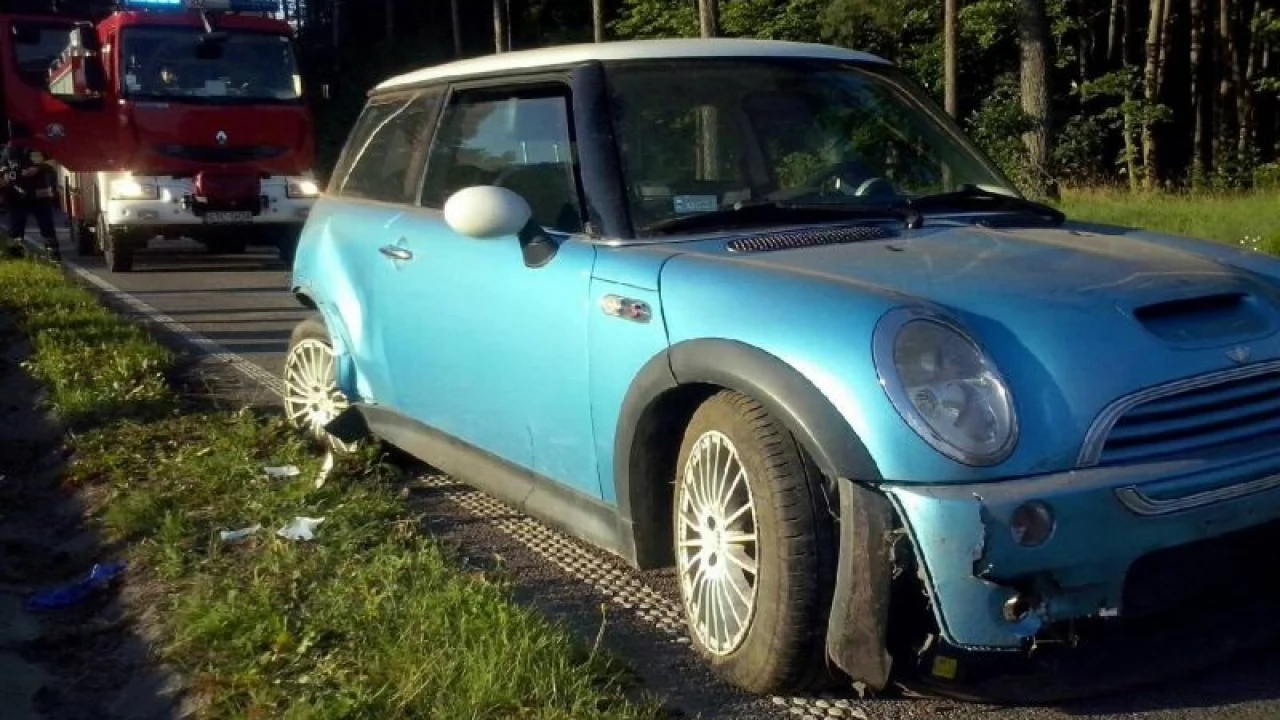 Liniewko. Auto wypadło z drogi