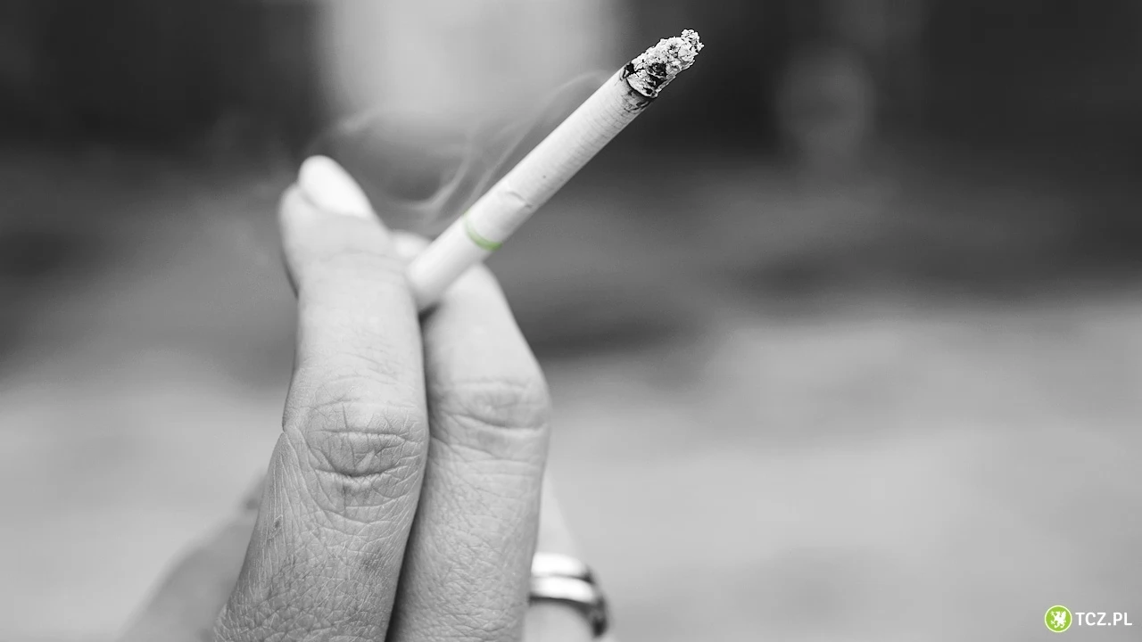 Mentolowe papierosy znikają z rynku. Od dzisiaj zakaz sprzedaży