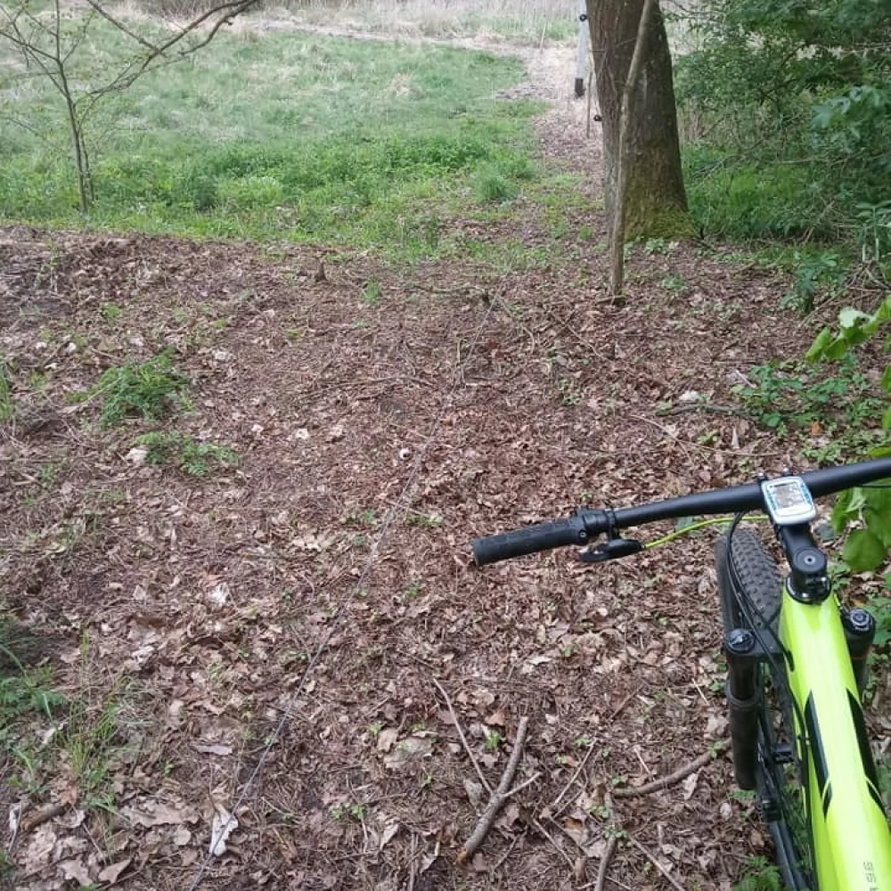 Metalowa linka rozwieszona między drzewami. Mogło skończyć się tragedią