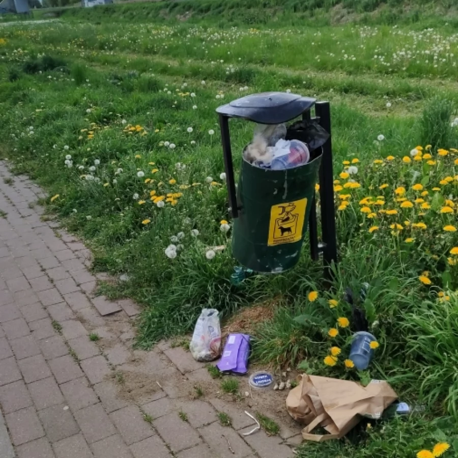 Miasto bez śmietników?