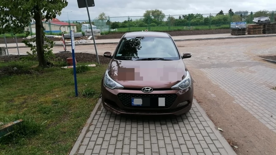 Mistrz parkowania