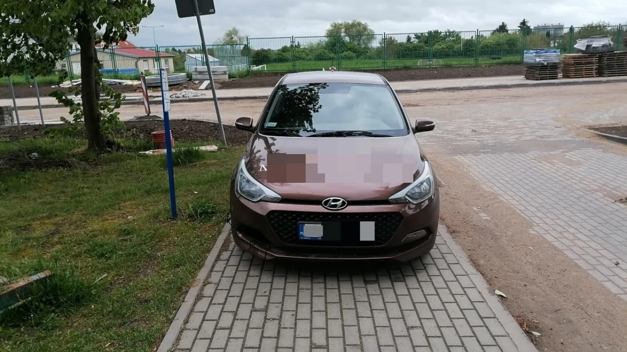Mistrz parkowania