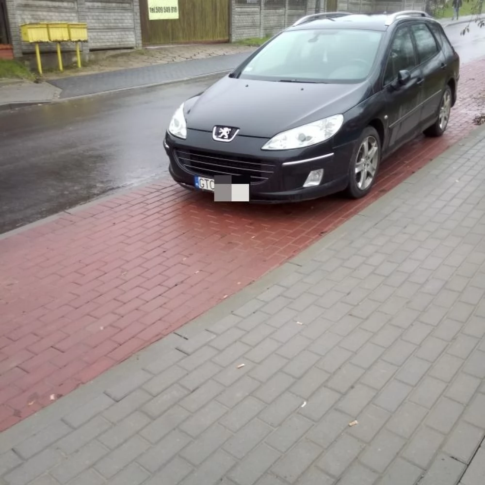 Mistrz Parkowania