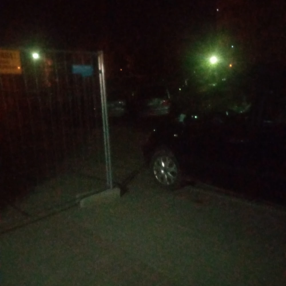"Miszcz" parkowania