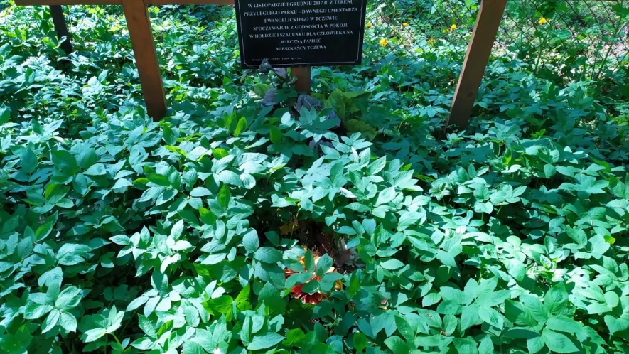 Mogiła zbiorowa