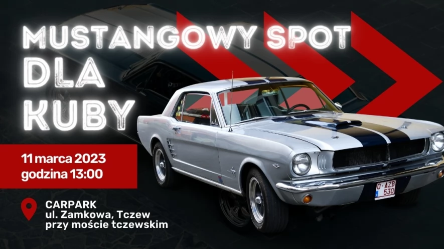 Mustangowy Spot dla Kuby