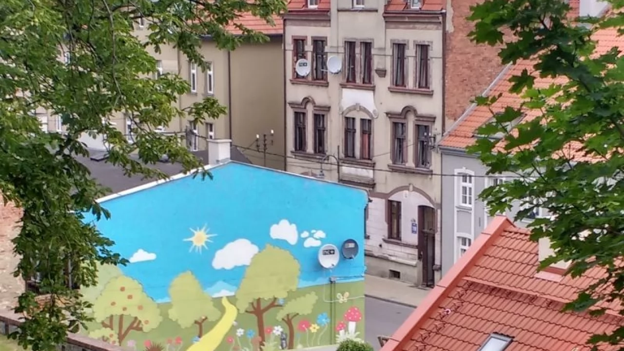 Na Zamkowej... zazieleniła się łąka