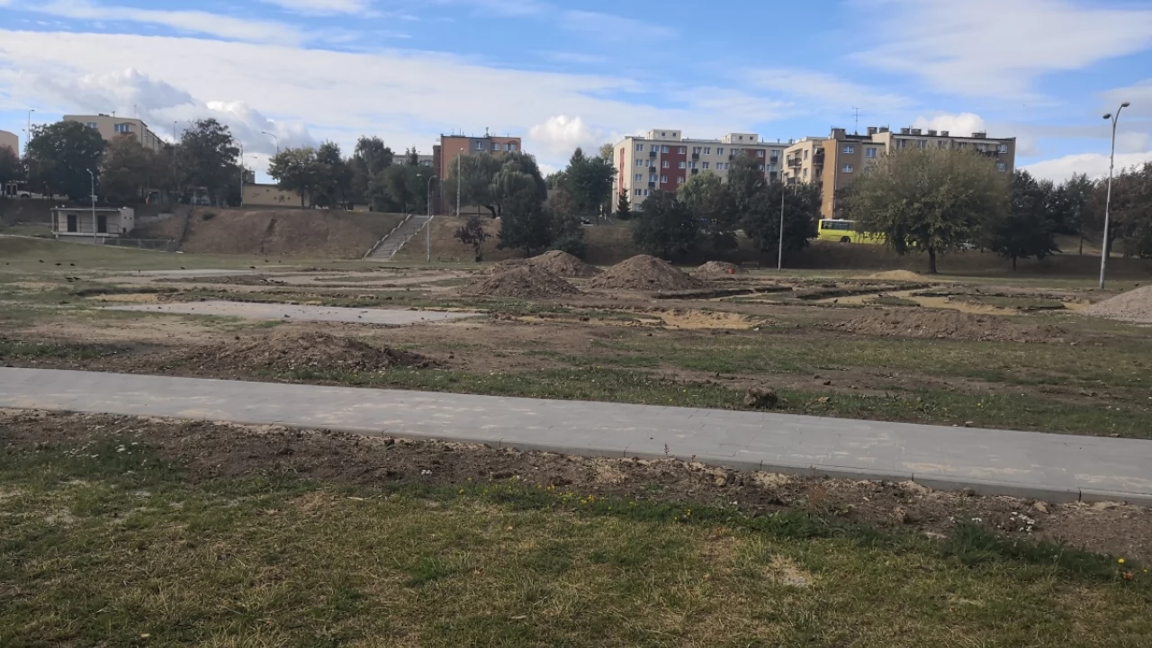 Niecka czyżykowo