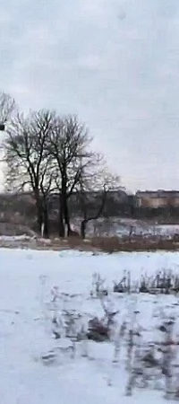 Jednostka wojskowa