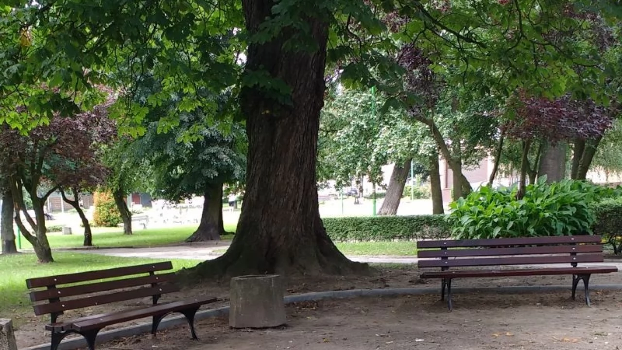 Nowe ławki w Parku Kopernika