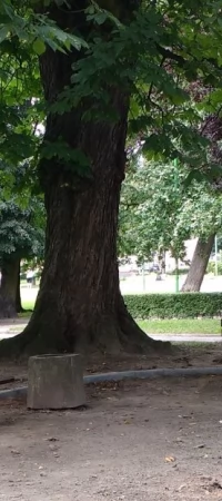 W Parku Kopernika wymieniono część ławek