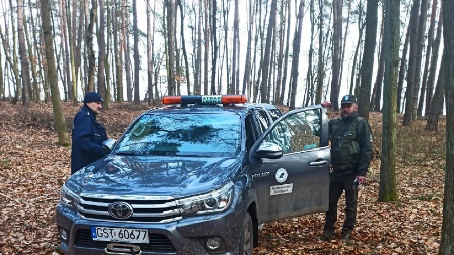 Odpowiedzą za nielegalny wyrąb lasu