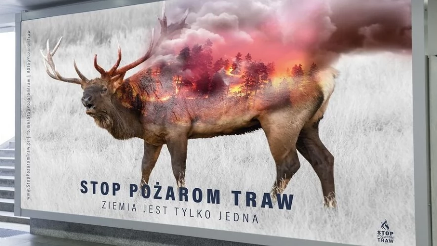 Ogień zabija - stop podpalaniu traw!