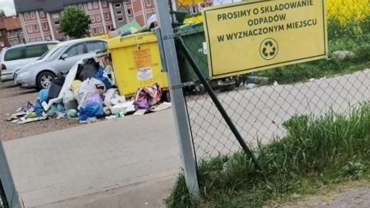 Ogródki działkowe czy wysypisko śmieci?