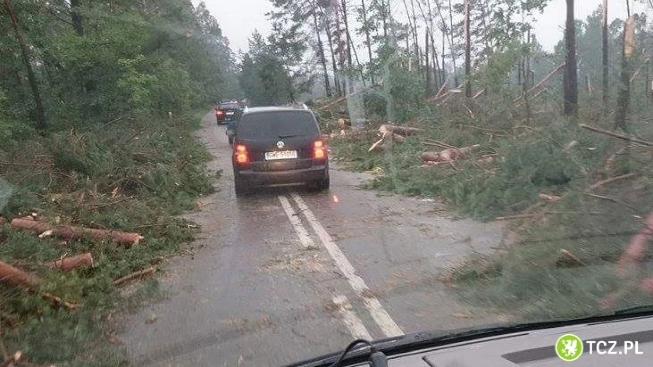 Ogrom strat poraża