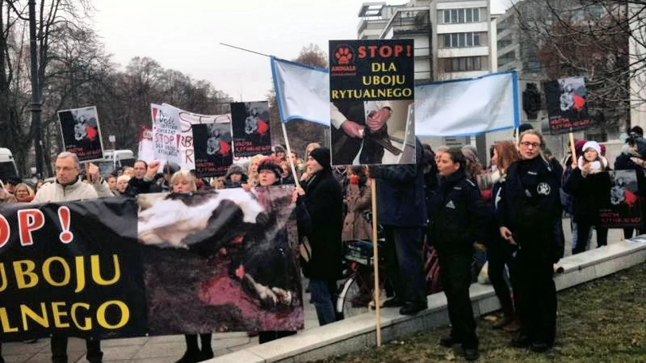 Organizacje prozwierzęce przeciw ubojowi rytualnemu
