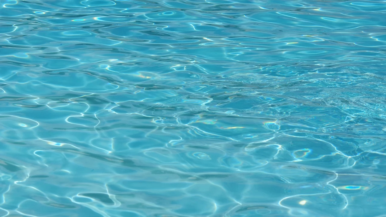 OTYLIA SWIM CUP w Lublinie