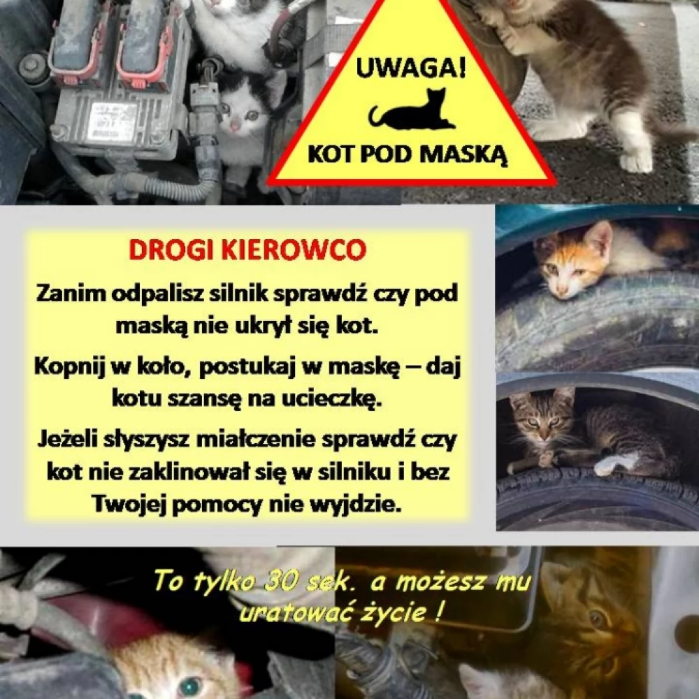 PAMIĘTAJ! To tylko 30 sekund
