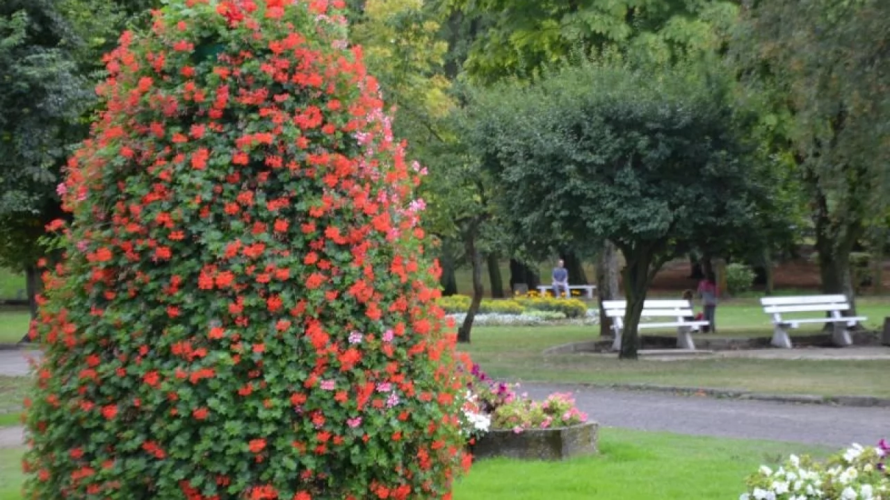 Park Kopernika doczeka się rewitalizacji?