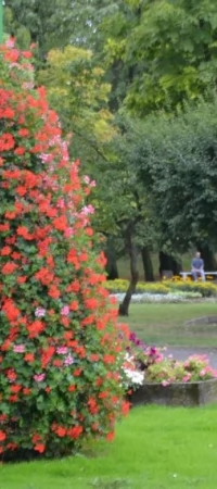 Park Kopernika