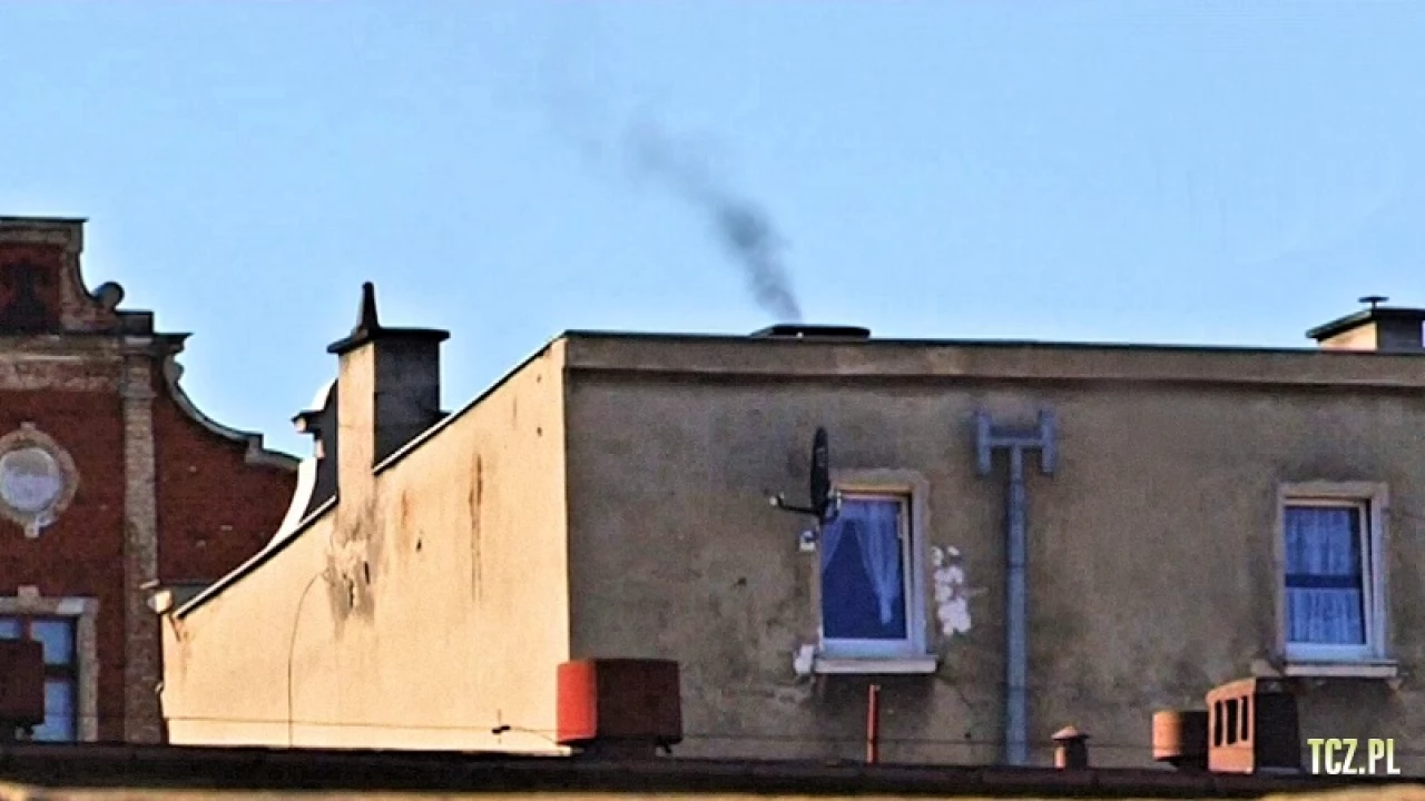 Pelplin. Ankieterzy odwiedzą mieszkańców