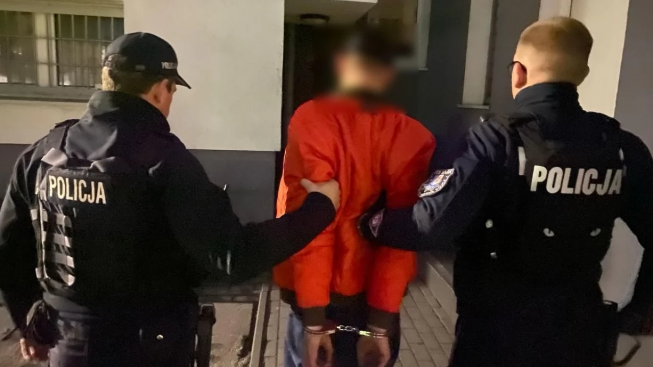 Pięć drabin, piła, stelaż trampoliny... 40-latek odpowie za kradzieże