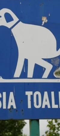 Zdaniem mieszkańców wobec niesprzątających po psach nie powinno być pobłażliwości