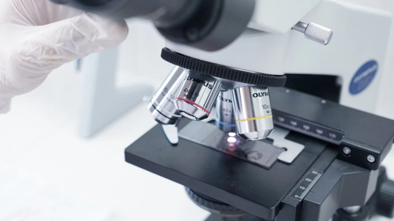 Plastiki laboratoryjne od A do Z