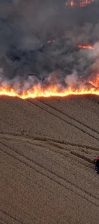 Pożar na polu - zdjęcie poglądowe