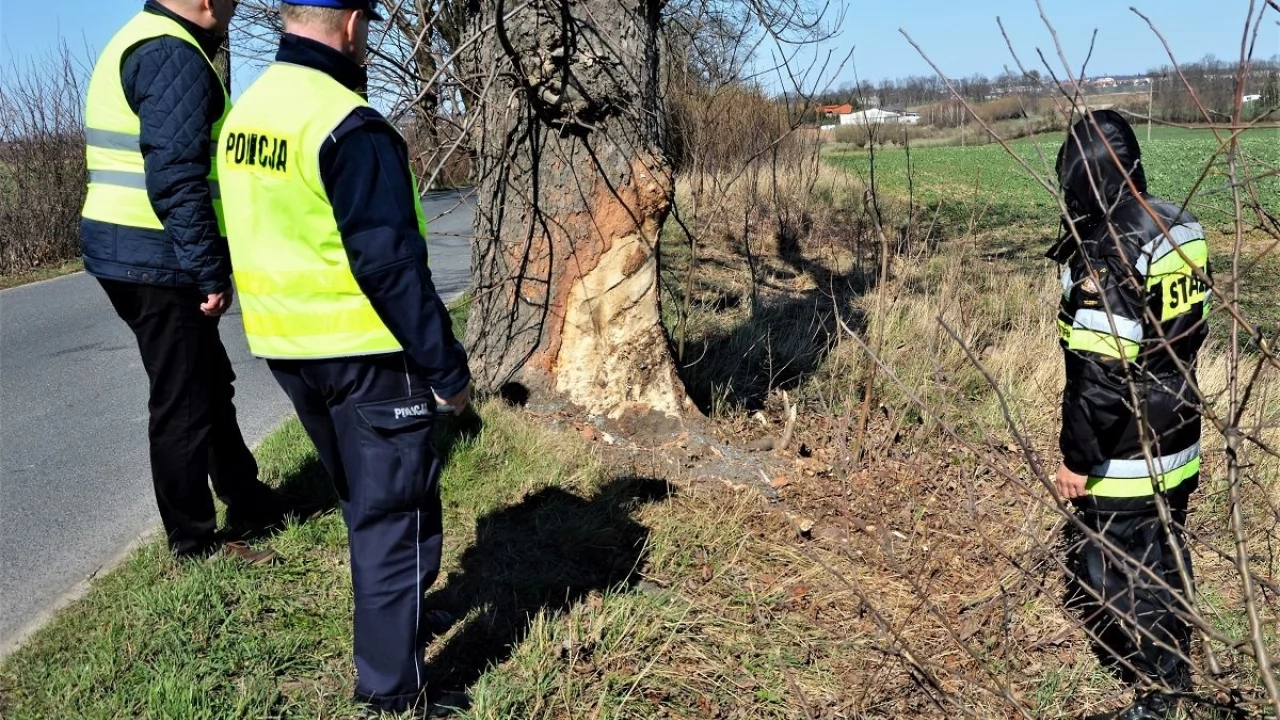 Po śmiertelnym wypadku wymalują skrajnię i oznakują drzewa