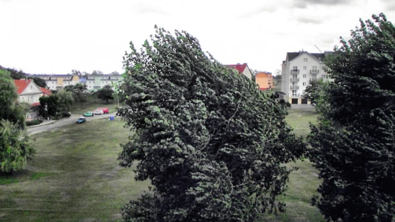 Pogoda. Silny wiatr, możliwy deszcz