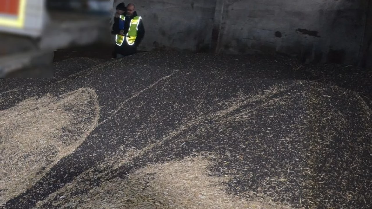 Policjanci odzyskali 20 ton rzepaku