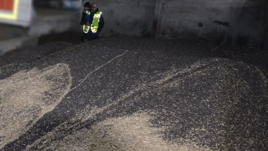 Policjanci odzyskali 20 ton rzepaku