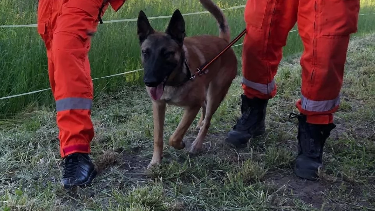 Policjanci szukali zaginionego 8-latka. Odnalazł się kilka kilometrów dalej