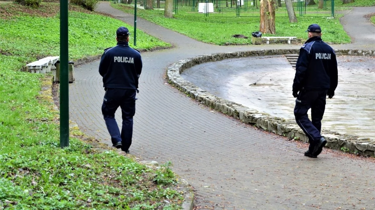 Policyjne podsumowanie majówki. Wypadki, kolizje i mandaty za łamanie przepisów