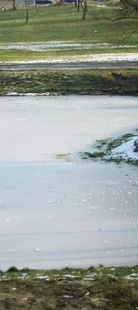 Kiedy dzieci się nudzą, mogą wymyślić różne niebezpieczne rozrywki