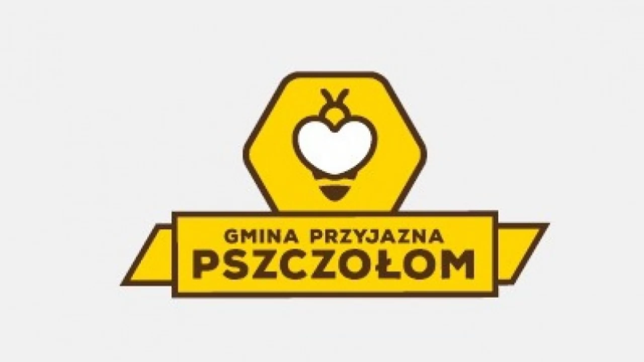 Pomorskie gminy kochają pszczoły