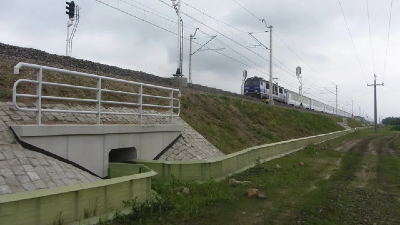 Ponad 100 przejść dla zwierząt na torach i mostach