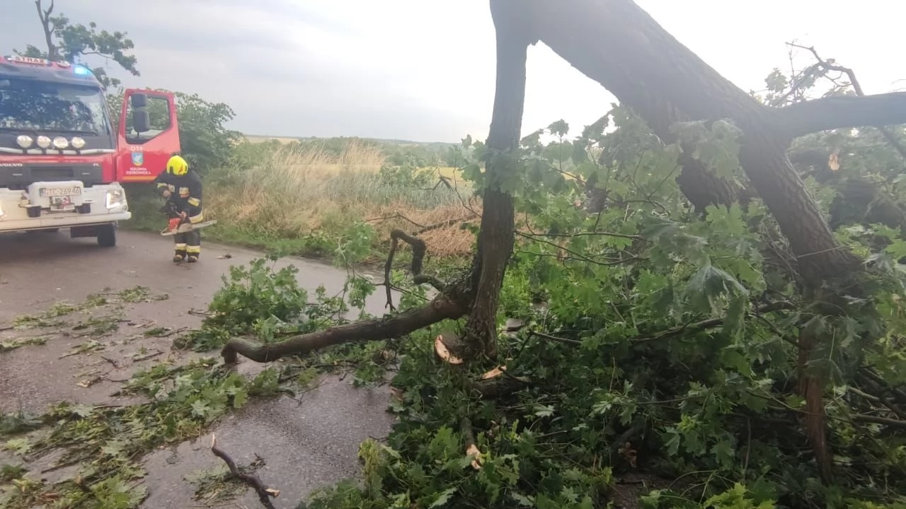 Ponad 50 strażackich interwencji po burzach w powiecie tczewskim
